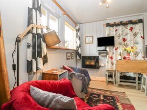 布兰德福德福鲁姆Tiny Willow的客厅设有红色的沙发和壁炉
