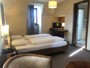 迪基希杜帕克酒店的一间卧室配有一张大床和电视