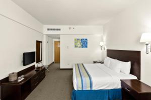 圣何塞德尔卡沃埃罗普托洛斯卡波斯酒店的配有一张床和一台平面电视的酒店客房
