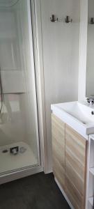 翁赞Assist Mobil home 328 - Mobil Home élégance 3 chambres 6 couchages的浴室配有白色水槽和淋浴。