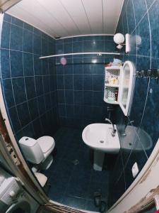 第比利斯Valera Homestay的一间带卫生间和水槽的小浴室