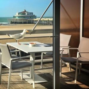 布兰肯贝赫Luxueus appartement met ruim terras, frontaal zeezicht 4 à 5 personen的海滩上桌子上的海 ⁇ 