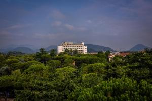 蒙特格罗托泰梅泰尔梅花园酒店的树丛中高大的白色建筑