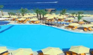沙姆沙伊赫卡塔海风度假村的一个带遮阳伞和椅子的游泳池以及大海