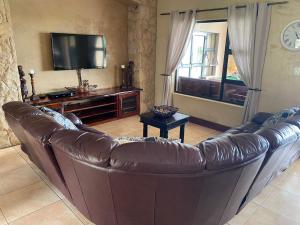 纳布姆斯普雷特Euphoria Self Catering Home的客厅里设有一张棕色的皮沙发,配有电视