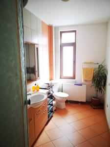 布拉索夫马吕斯之家民宿的一间带水槽和卫生间的浴室以及窗户。