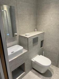 邓弗里斯Kirkwirral Guest House - not self catering的浴室配有白色卫生间和盥洗盆。