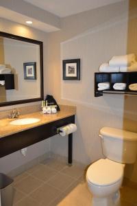 比迪福德比迪福德智选假日酒店的一间带卫生间、水槽和镜子的浴室