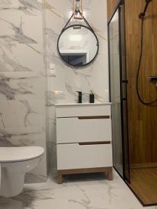 比得哥什Apartament Fordon przy Onkologii的一间带水槽、卫生间和镜子的浴室