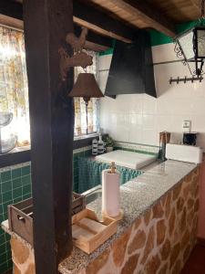 OrgazFinca - Granja " El Chaparral"的厨房配有绿色瓷砖台面