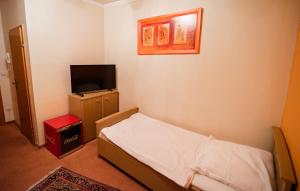 克尔斯特尔巴赫Angelis Pension的一间小卧室,配有一张床和一台平面电视