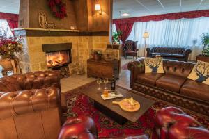 佩斯卡塞罗利艾瑞斯酒店的客厅配有皮革家具和壁炉