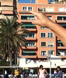 阿利坎特Ático Loft en frente al mar terraza vista espectacular的手指指着棕榈树的建筑
