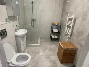 蒂米什瓦拉Jolie Luxury Apartments II的浴室配有卫生间、盥洗盆和淋浴。
