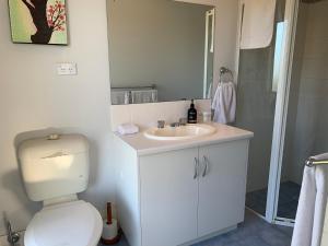 金斯科特袋鼠岛小木屋式酒店的浴室配有卫生间、盥洗盆和淋浴。
