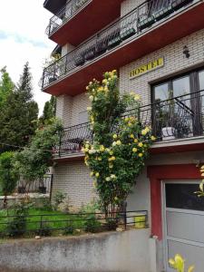 尼什Smeštaj - sobe MARVEL的建筑一侧的灌木丛,花黄色