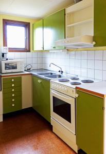 EkshäradStuga Ekesberget Stugby的厨房配有绿色橱柜和炉灶。 顶部烤箱