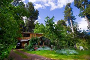 圣卡洛斯-德巴里洛切la casa del sol的一座树木繁茂的院子中的房子