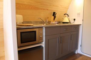 彭里斯The Honeybee Pod的厨房配有水槽和微波炉