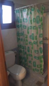 利普西岛Hotel Glaros Lipsi的一间带卫生间和淋浴帘的浴室