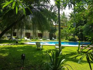 萨玛拉萨马拉海滩酒店的一个带游泳池和棕榈树的度假村