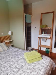 旧圣日龙Au calme, entre lac et océan的一间卧室配有一张带绿毛巾的床