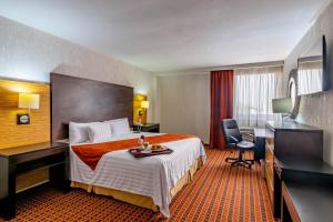 伊达尔戈州波萨里卡巴黎FC酒店 的酒店客房设有一张大床和一张书桌。