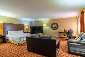 伊达尔戈州波萨里卡巴黎FC酒店 的配有一张床和一台平面电视的酒店客房