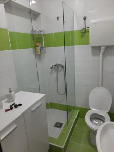 贝尔格莱德Apartman Karadjordje 2的一间带卫生间和玻璃淋浴间的浴室