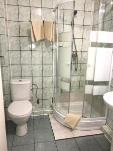 StarovoitoveГотель Ягодин的一间带卫生间和淋浴的浴室