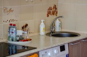 伊尔库茨克Апарт-отель МОДНЫЙ的厨房台面设有水槽和水槽