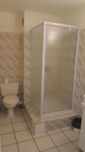 圣丹尼斯Hotel-appart Les Manguiers的带淋浴和卫生间的浴室