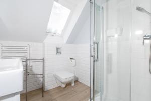尼彻兹Apartamenty Pomona的白色的浴室设有卫生间和淋浴。