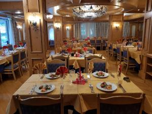 坎皮泰洛迪法萨Hotel Diamant Park的一间带桌椅和吊灯的用餐室