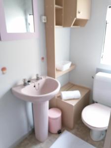 CampignyLe pré vert的一间带水槽和卫生间的浴室