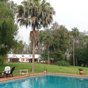 埃尔多拉多Estancia las Mercedes的一座棕榈树和房子的游泳池