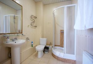 梁赞Hotel Odisseya的一间带水槽、卫生间和淋浴的浴室