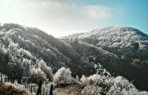 Slani DolDiscover the magic of nature的山里满是雪