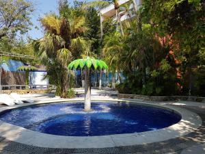阿卡普尔科Hotel Delfines Acapulco by NG Hoteles的中间的带绿伞的小游泳池