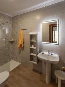 孔佩塔Apartamento rural Alborada的一间带水槽、镜子和淋浴的浴室