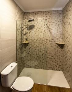 孔佩塔Apartamento rural Alborada的一间带卫生间和玻璃淋浴间的浴室