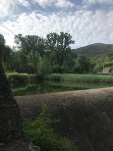 科尔努德利亚Molí dels Aubins的树丛旁的河水体