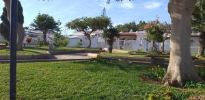 德尔锡伦西奥海岸La graciosa的一座有树木和草地的公园和一座建筑