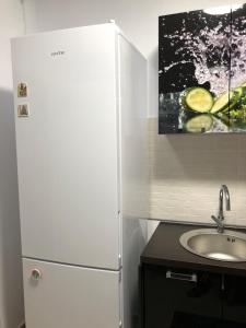 布加勒斯特Brancusi Apartment的厨房配有白色冰箱,设有水槽