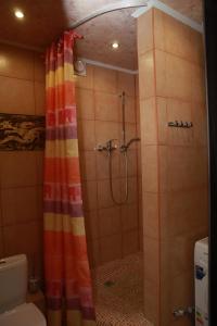 利佩茨克利佩茨克公寓的带淋浴和浴帘的浴室