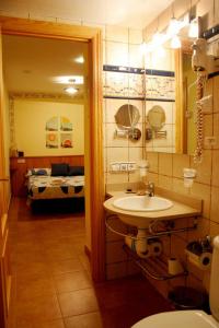 Aren多门客酒店的一间带水槽的浴室和一间带床的房间