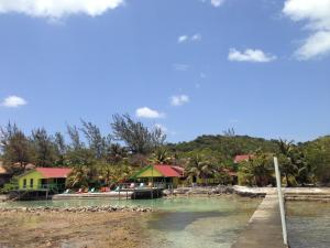 Oak Ridge礁石度假村的棕榈树和水滩上的度假村