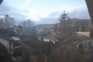 尼特拉Appartement in Nitra under the Zobor-Hill的享有拥有房屋和树木的城镇美景