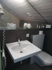 格拉鲁斯哈达南博格AG酒店的浴室配有白色水槽和卫生间。
