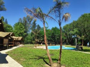 Gualeguaychúel bosque la foret的游泳池旁的几棵棕榈树